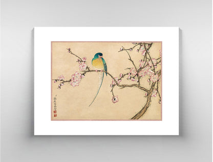 Bird with Plum Blossom