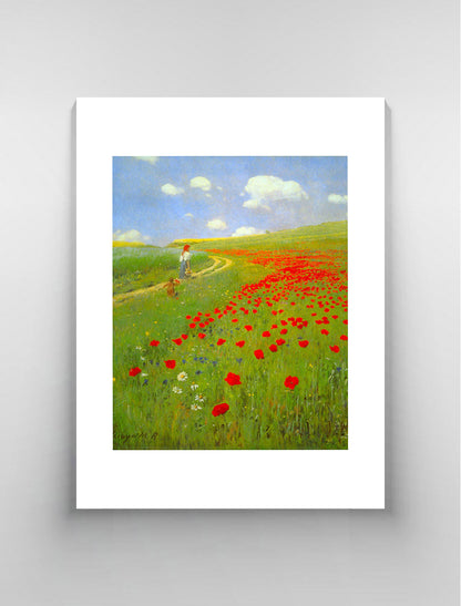 Field of Poppies by Merse