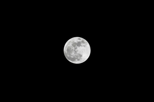 Super Moon in the Eastern Sky